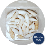 8827-P8 - Craft Pack - White Icicles